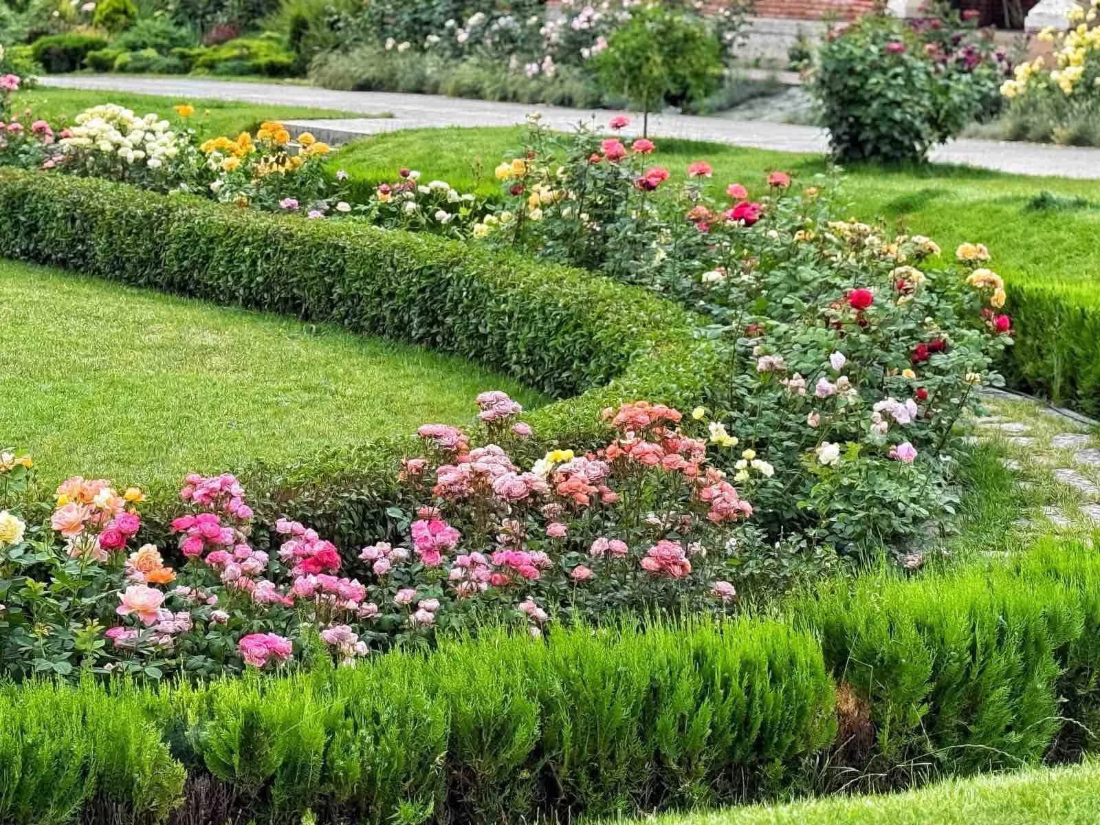 Rose Garden